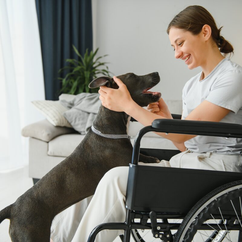 pet therapy disabili