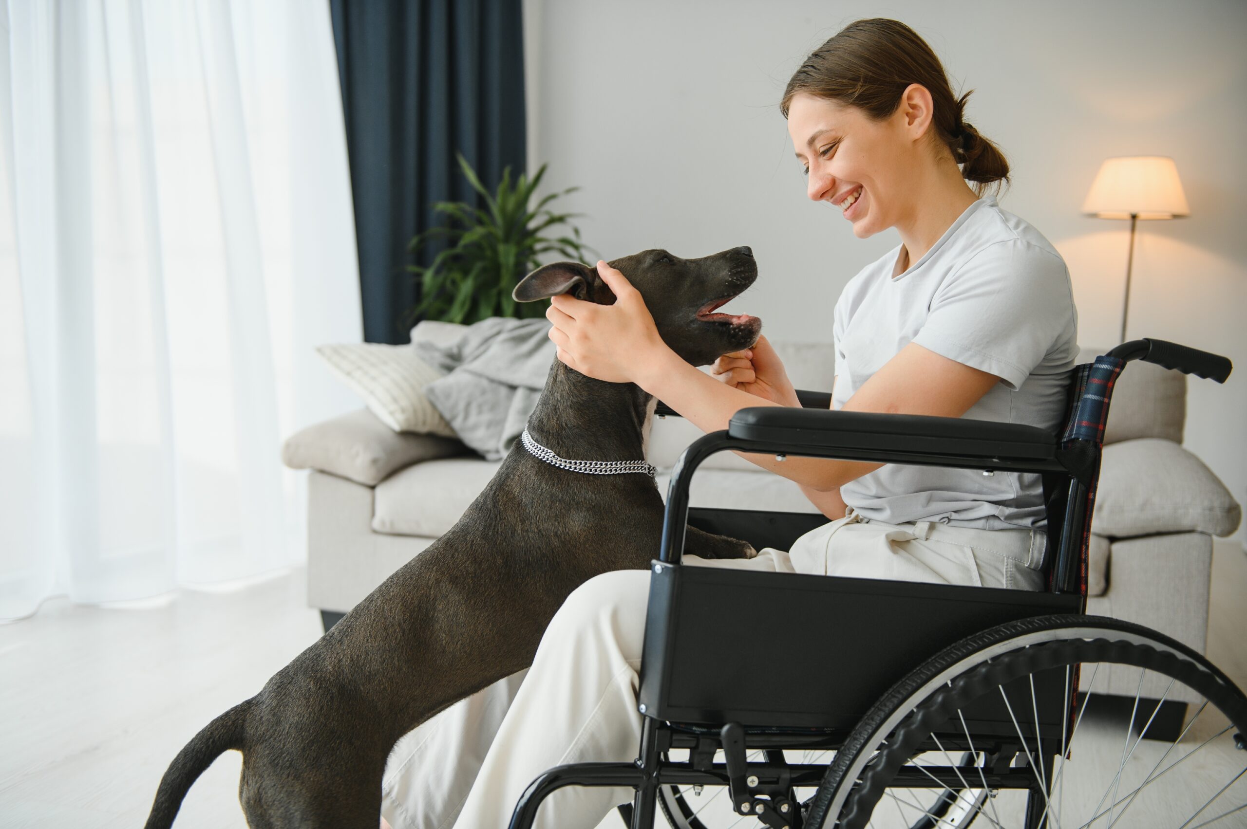 pet therapy disabili